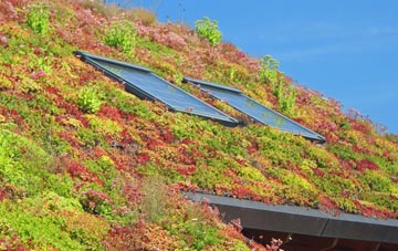 Middle Mill living roof systems