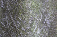 Middle Mill fibreglass roof work